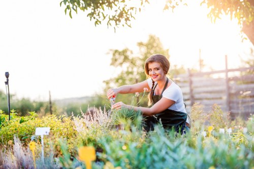 Healthy green lawn cared for in Cowley garden