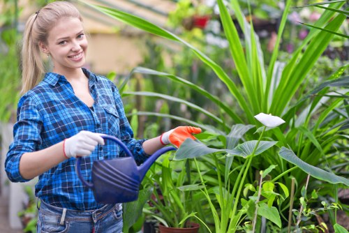 Low-carbon van used for sustainable garden waste collection
