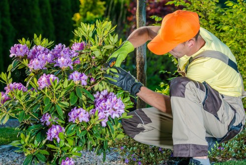 Gardeners Cowley team working safely in a residential garden