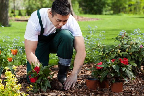 Lawn edging and hedge trimming for garden maintenance in Cowley