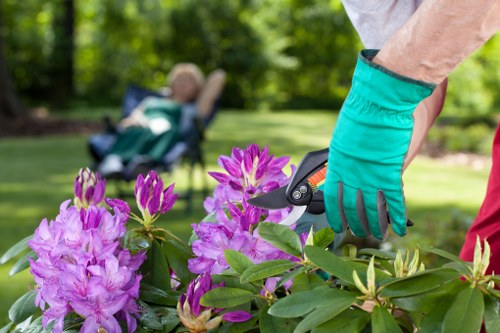 Professional gardeners in Cowley maintaining green outdoor spaces