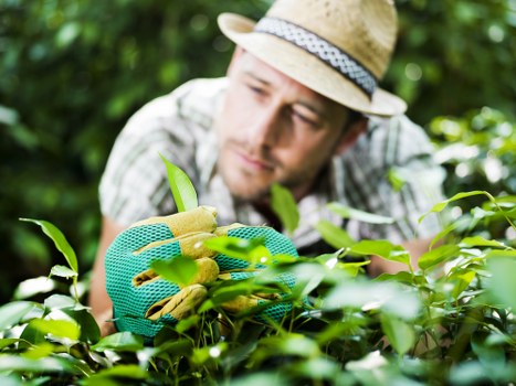 Annual review of Gardeners Cowley modern slavery controls