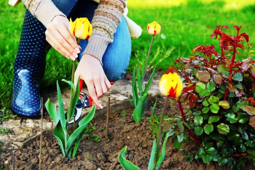 Supplier audit and compliance review for Gardeners Cowley