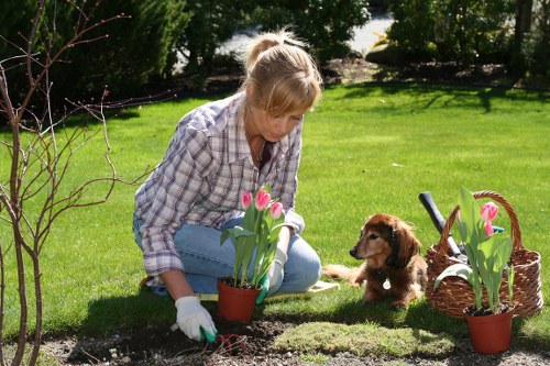 Reviewing a garden service issue carefully
