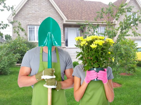Modern landscaping in Cowley with paving, edging, and decorative plants
