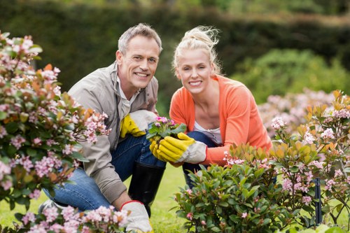Seasonal lawn treatment in a Cowley property