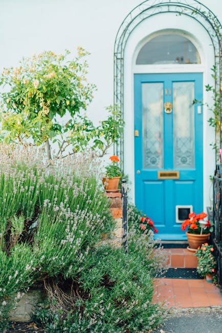 A small front garden featuring a vibrant blue front door set within a white and light grey arched brickwork frame, with a brass mail slot and door handle. The garden includes a lush, green shrub to th