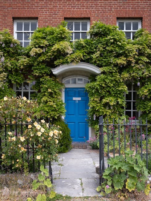 A small front garden featuring a vibrant blue front door set within a white and light grey arched brickwork frame, with a brass mail slot and door handle. The garden includes a lush, green shrub to th